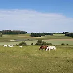 U Krivanku 1 * Telč