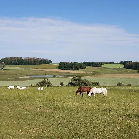 U Krivanku 1 * Telč