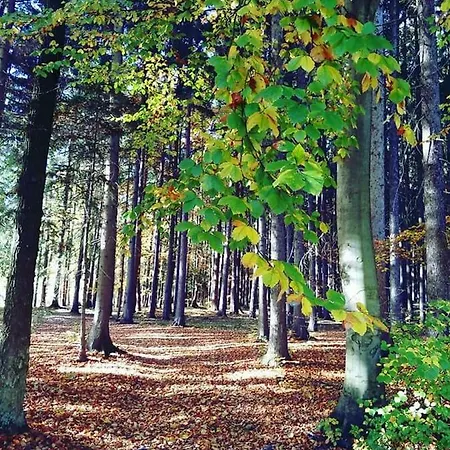 U Krivanku 1 Telč