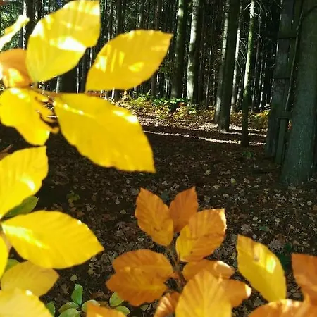 U Křivánků 1 Сasa de vacaciones Telč