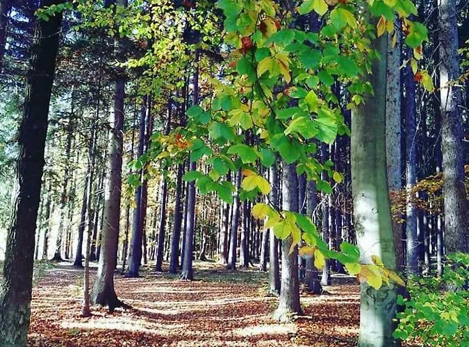 U Křivánků 1 Telč