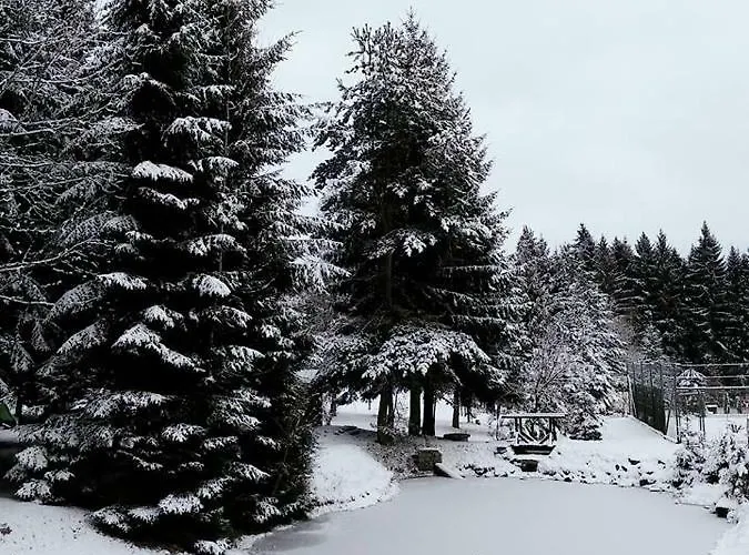 Holiday home U Krivanku 1 *